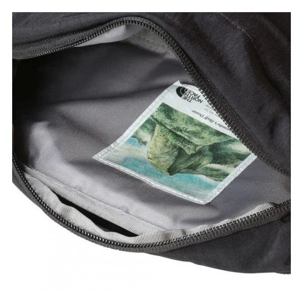 The North Face Berkeley Lumbar Erkek Bel Çantası - Görsel 8