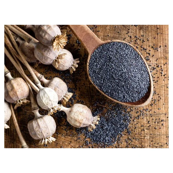 Buhara Baharat Mavi Haşhaş 1 Kg - Görsel 2