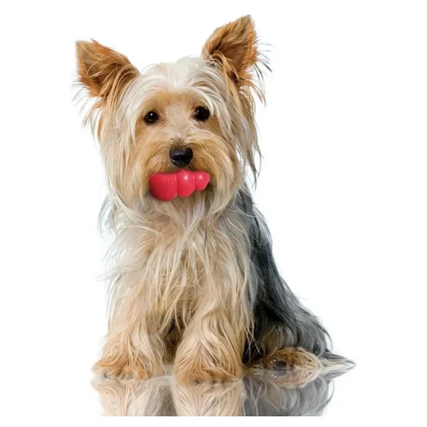 Kong Classic Xsmall 6 Cm Köpek Oyuncağı - Görsel 6