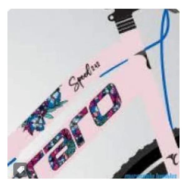 Carraro Speed 242 V Pembe-Fuşya 21 Vites 24 Jant Kadın Dağ Bisikleti - Görsel 6