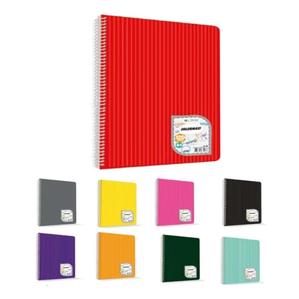 Çınar 60 Yaprak Çizgili Defter A4 Spiralli Pp - 2 Adet - Görsel 3