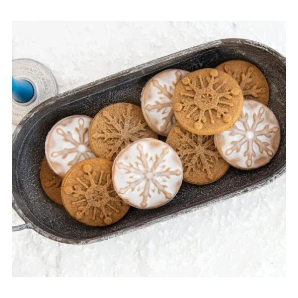 Nordicware 1273 Kar Taneleri Kurabiye Baskı Pulları - Görsel 6