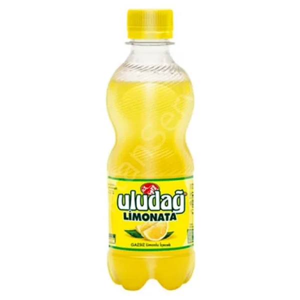 Uludağ Limonata 24x330 Ml - Görsel 5