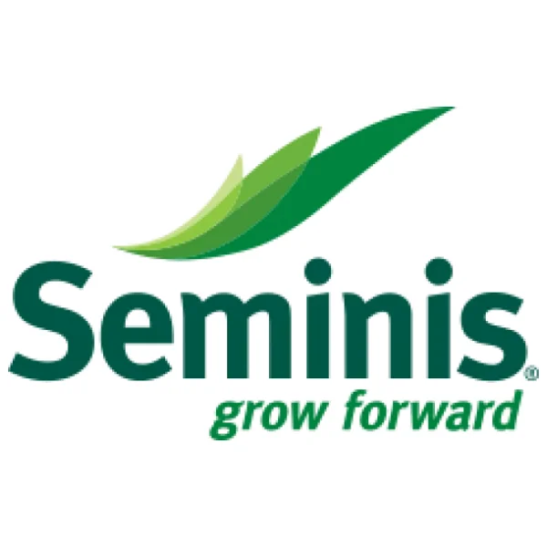 Seminis Hıyar Salatalık Tohumu Altay F1 2500 Adet Tohumluk - Görsel 3