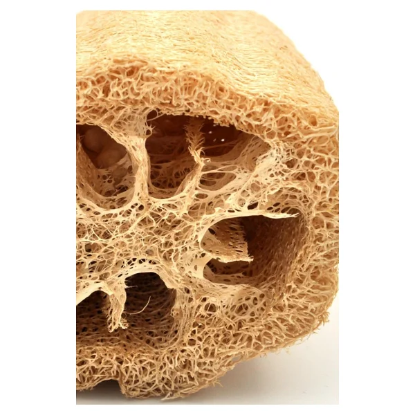Ahşap Saplı Doğal Kabak Lifi Sırt Fırçası 8x40 Cm. - Görsel 8