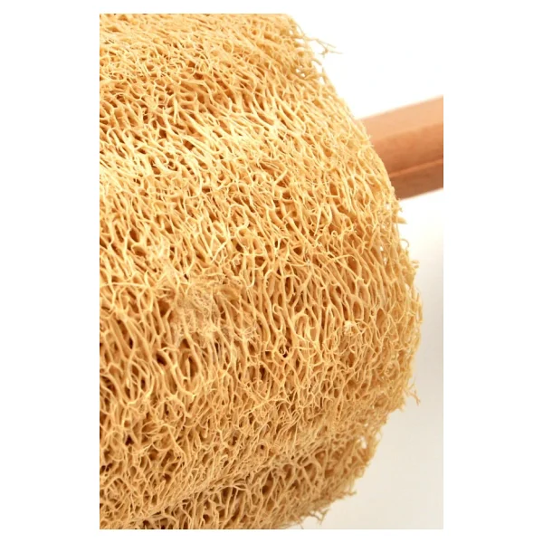 Ahşap Saplı Doğal Kabak Lifi Sırt Fırçası 8x40 Cm. - Görsel 9