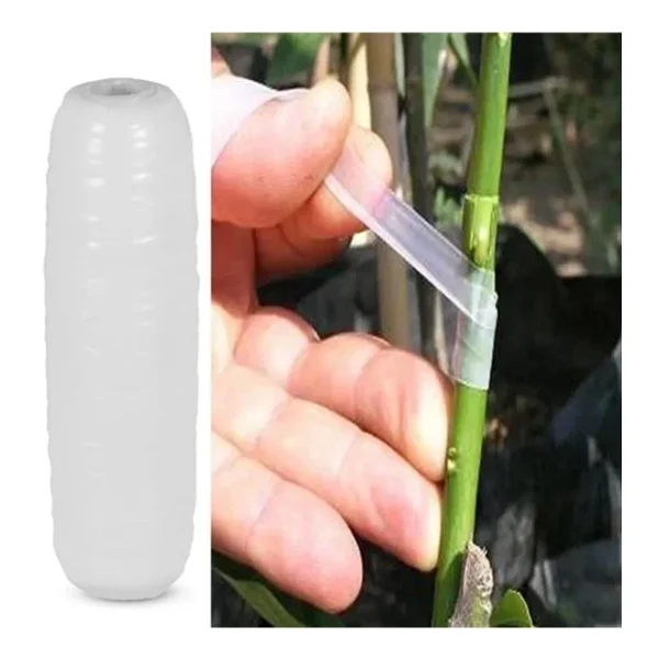 40 Metre Şeffaf Silikon Ağaç Aşı Bandı (250 Gr) - Görsel 4