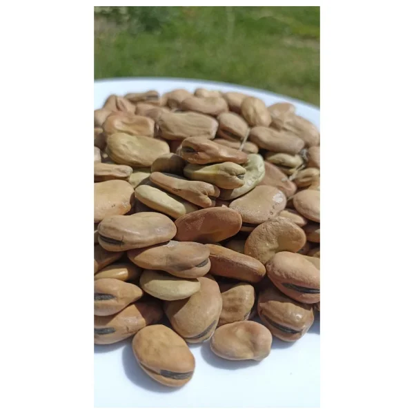 Şenler - Kuru Kabuklu Bakla 1 Kg - Yeni Mahsül - Görsel 4