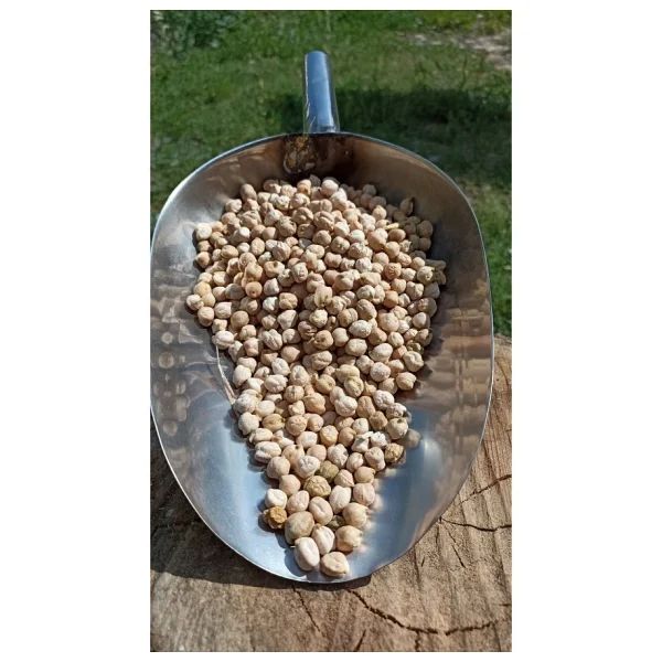 Şenler Yerli Organik Nohut - 1 Kg - Görsel 4