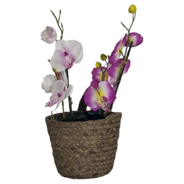 T.Concept Dekoratif Yuvarlak Cok Amacli Rattan Sepet Buyuk Boy - Görsel 4