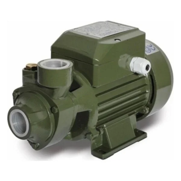 Mur-Cell Qb60 0.5 Hp Elektrikli Su Motoru - Görsel 5