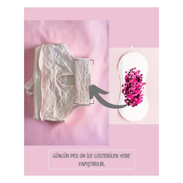Modern Purp Kemique's Secret Kopek Ic Camasiri Regl Kulot Don - Görsel 8
