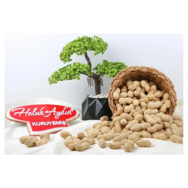 Haluk Aydın Kuruyemiş Kabuklu Tuzsuz Fıstık 500 Gr - Görsel 4