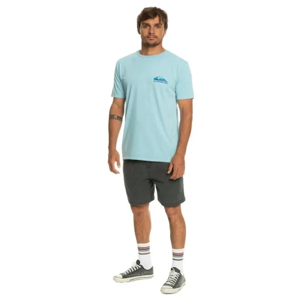 Quiksilver Pastimeparadise Eqyzt07252 Kısa Kollu Bisiklet Yaka Erkek Tişört - Görsel 7