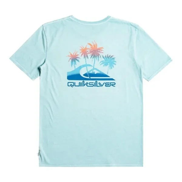 Quiksilver Pastimeparadise Eqyzt07252 Kısa Kollu Bisiklet Yaka Erkek Tişört - Görsel 5