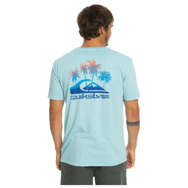 Quiksilver Pastimeparadise Eqyzt07252 Kısa Kollu Bisiklet Yaka Erkek Tişört - Görsel 8