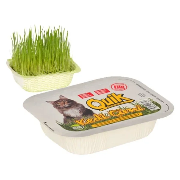 Quik Fileli Doğal Kedi Çimi - Görsel 3