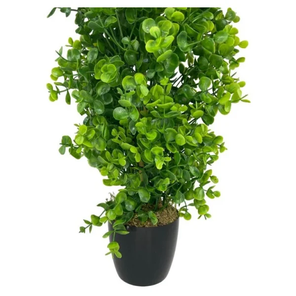 Nettenevime Yapay Çiçek Siyah Saksıda Yeşil Şimşir Ağacı 50cm - Görsel 7