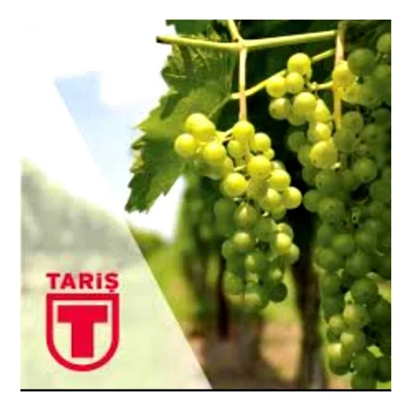 Tariş Üzüm Sirkesi 6x2000ml - Görsel 4