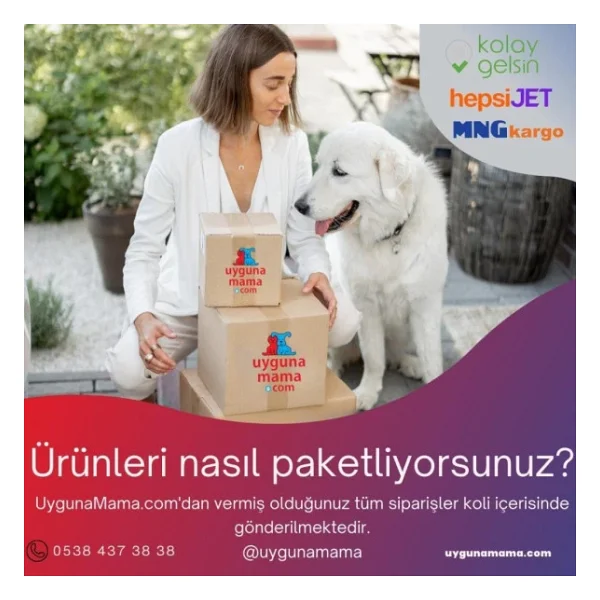 Swing 9 Yedek Kapı - Görsel 2