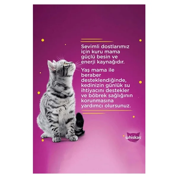 Whiskas Sığır Etli 400 Gr 24'lü Yetişkin Konserve Kedi Maması - Görsel 5