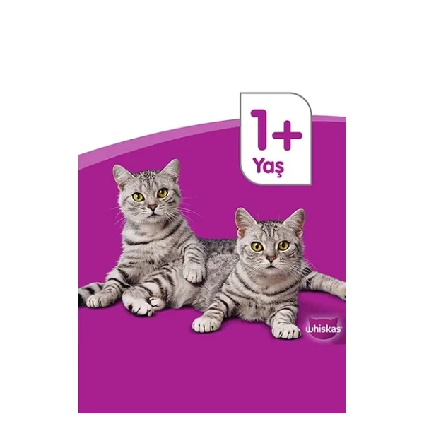 Whiskas Sığır Etli 400 Gr 24'lü Yetişkin Konserve Kedi Maması - Görsel 6