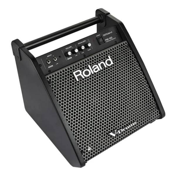 Roland Pm-100 80 W Davul Monitörü - Görsel 5