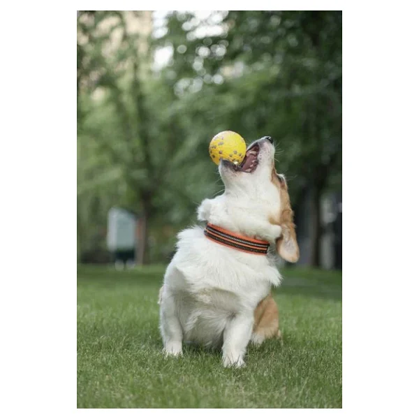M-Pets Bloom Ball Parçalanmaz Köpek Oyun Topu - Görsel 7