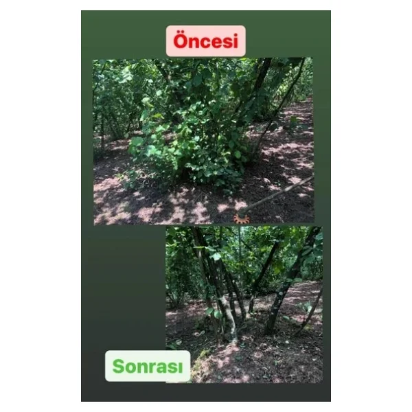 Benzinli Tırpan Fındık Dibi Filiz Alma Aparatı Universal Model - Görsel 6