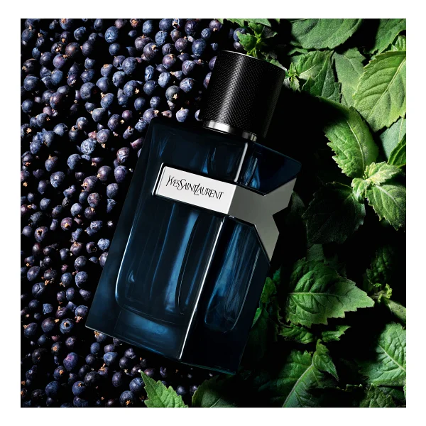 Yves Saint Laurent Y Intense Edp Erkek Parfüm 60 Ml - Görsel 4