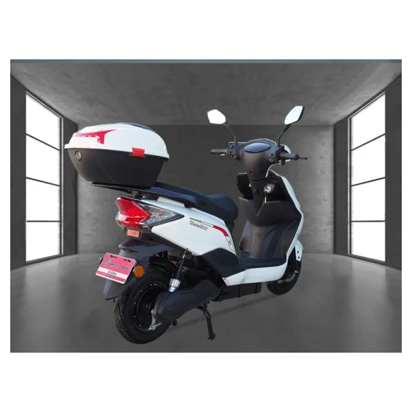 Motolux Alf Plus Lux 1500 W Elektrikli Motosiklet - Görsel 6