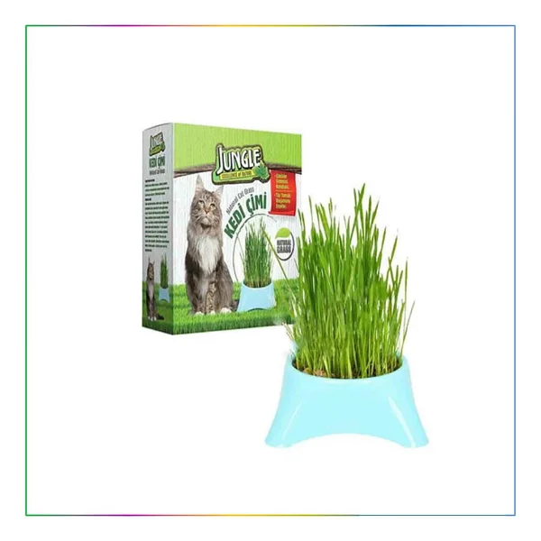 Jungle Doğal Fileli Kedi Çimi - Görsel 6