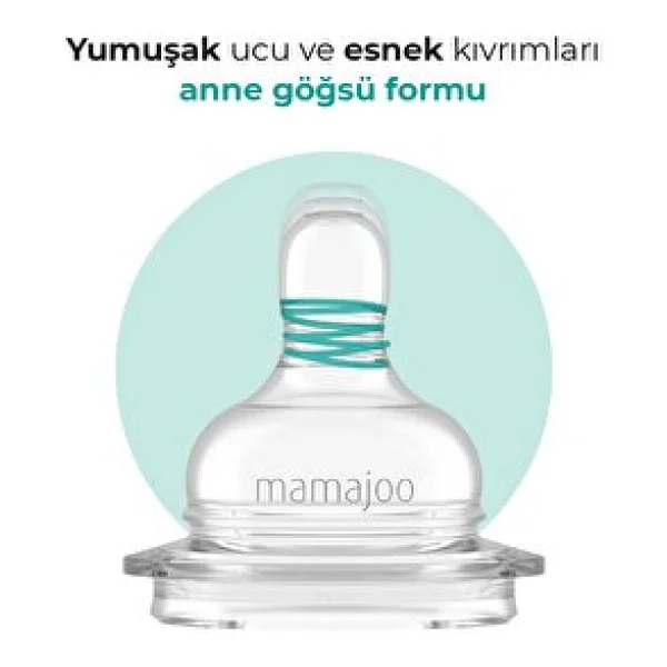 Mamajoo Silver PP Biberon 250 ml - Görsel 4