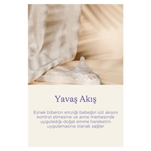 Lansinoh Naturalwave Yavaş Akış Biberon Emziği - Görsel 6