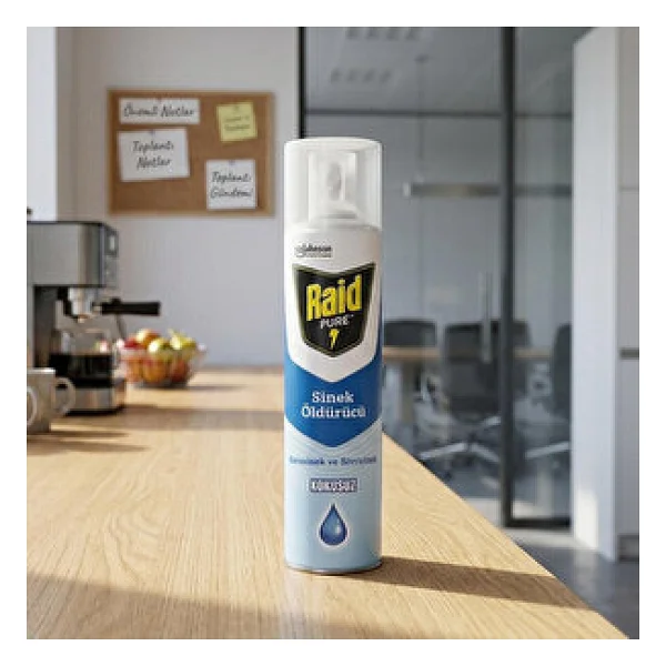 Raid Pure Kokusuz Sinek Öldürücü 300 Ml - Görsel 6