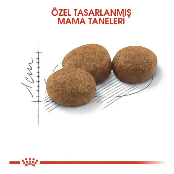Royal Canin Sterilised 2 Kg Kısırlaştırılmış Yetişkin Kedi Maması - Görsel 6