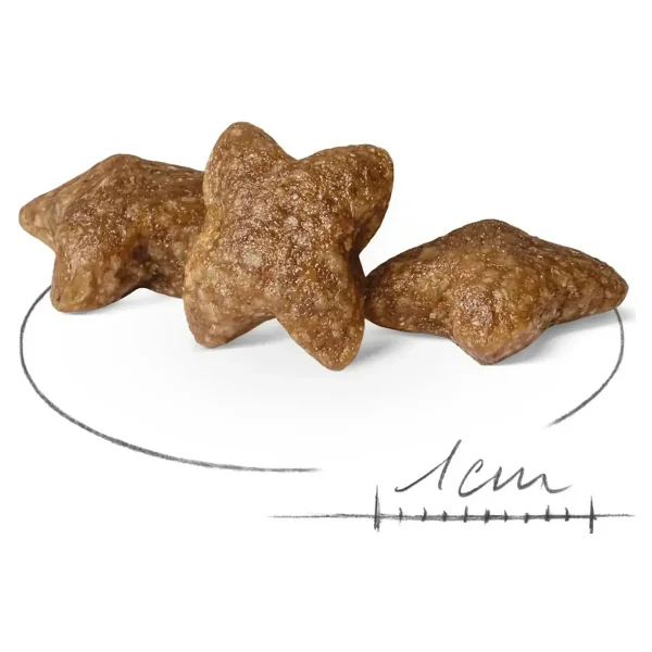 Royal Canin Mini Adult 4 Kg Küçük Irk Yetişkin Köpek Maması - Görsel 3