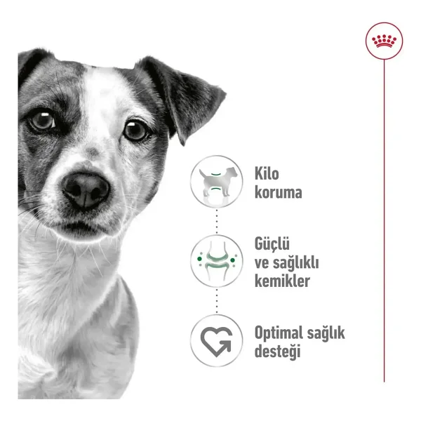 Royal Canin Mini Adult 4 Kg Küçük Irk Yetişkin Köpek Maması - Görsel 5