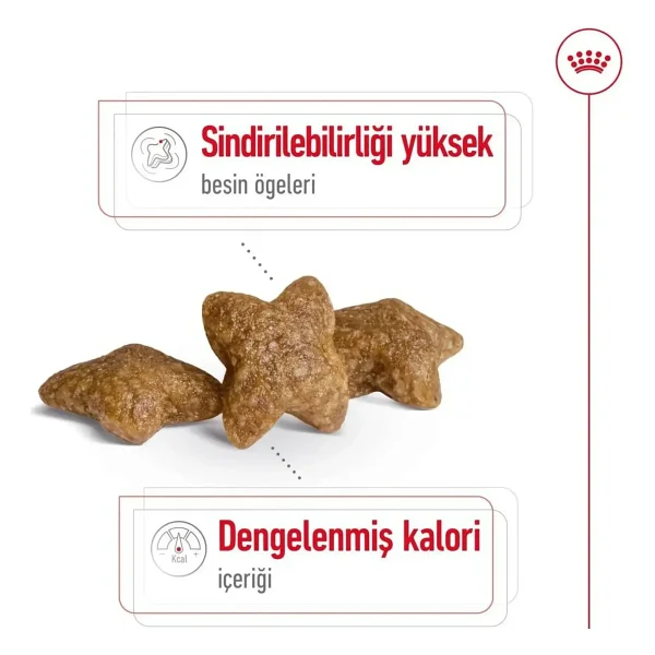 Royal Canin Mini Adult 4 Kg Küçük Irk Yetişkin Köpek Maması - Görsel 7