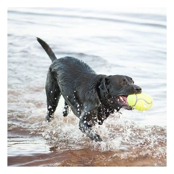 Kong Airdog Amerikan Futbol Topu Şeklinde Köpek Oyuncağı S - Görsel 8