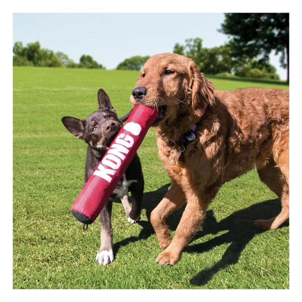 Kong Signature Stick Çubuk Şeklinde Köpek Oyuncağı Large - Görsel 9