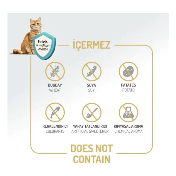 Felicia Somonlu 5 Kg Kısırlaştırılmış Yetişkin Kedi Maması - Görsel 8