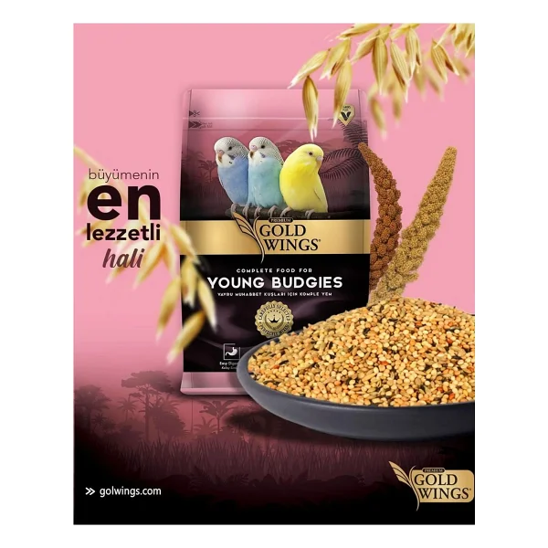 Gold Wings Premium 1 kg Yavru Muhabbet Kuşu Yemi - Görsel 7