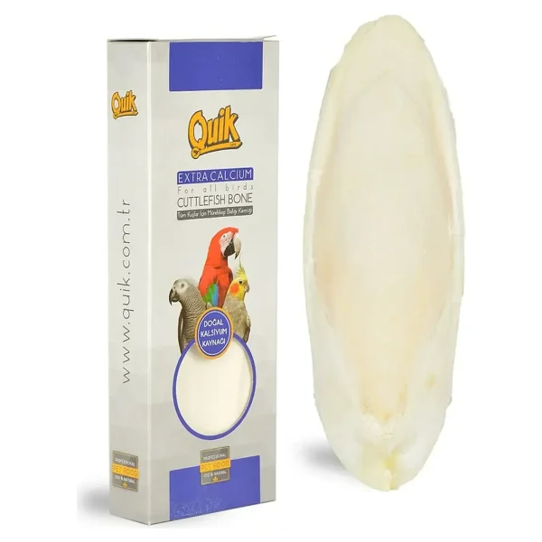 Quik Büyük Boy Mürekkep Balığı Kemiği - Görsel 4