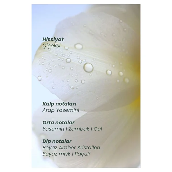 Matsu Myth 50 Ml Saç Parfümü - Görsel 3