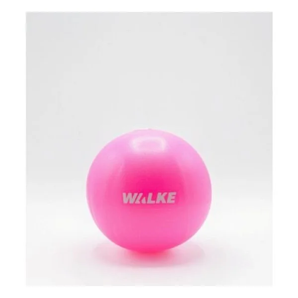Walke 55 Cm Deluxe Pilates Topu + Pompası - Görsel 3