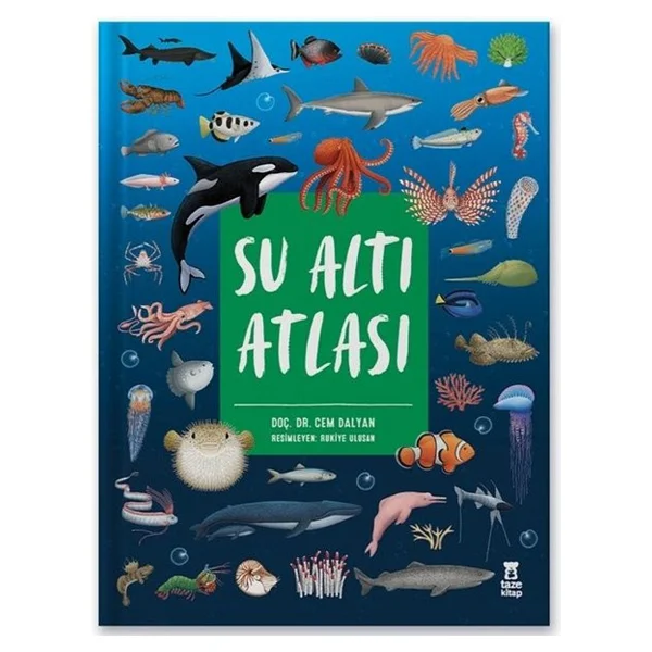 Su Altı Atlası - Cem Dalyan - Görsel 7