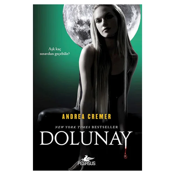 Dolunay - Görsel 3