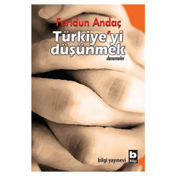 Türkiye'yi Düşünmek - Feridun Andaç - Görsel 3