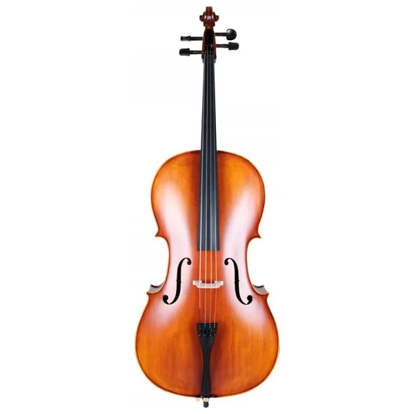 Carlovy Cla9 4/4 Çello - Görsel 4